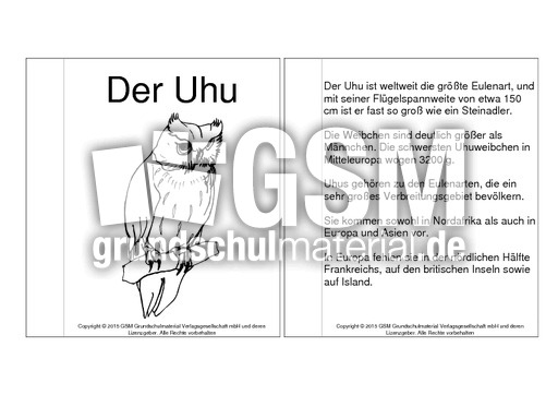 Mini-Buch-Uhu-Steckbrief-B.pdf
